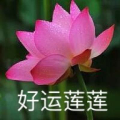 城堡证券2025年交易收入创纪录新高 达120亿美元